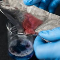 1585 New And Inexpensive Material Captures Oil But Lets Water Through