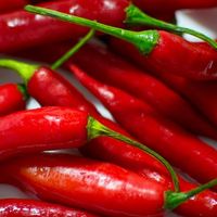 36 Why You Should Never, Ever Drink Water After Eating Hot Peppers