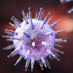 3D illustration of Epstein-Barr virus particles