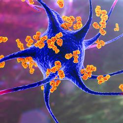 A3D illustration of antibodies attacking a neuron.