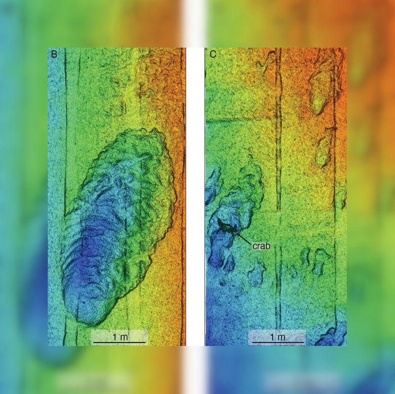 Lidar data provide richer detail about the seafloor, revealing objects that are too small to be seen by sonar.