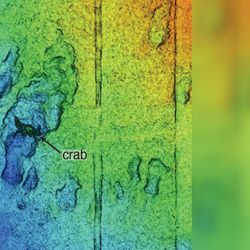 Lidar data provide richer detail about the seafloor, revealing objects that are too small to be seen by sonar.