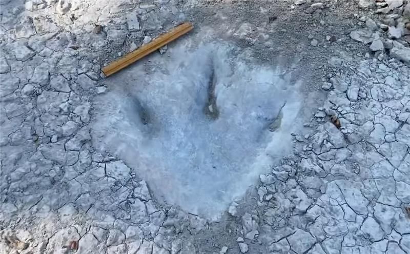 footprint of a three-toed dinosaur in dry ground, with ruler for scale