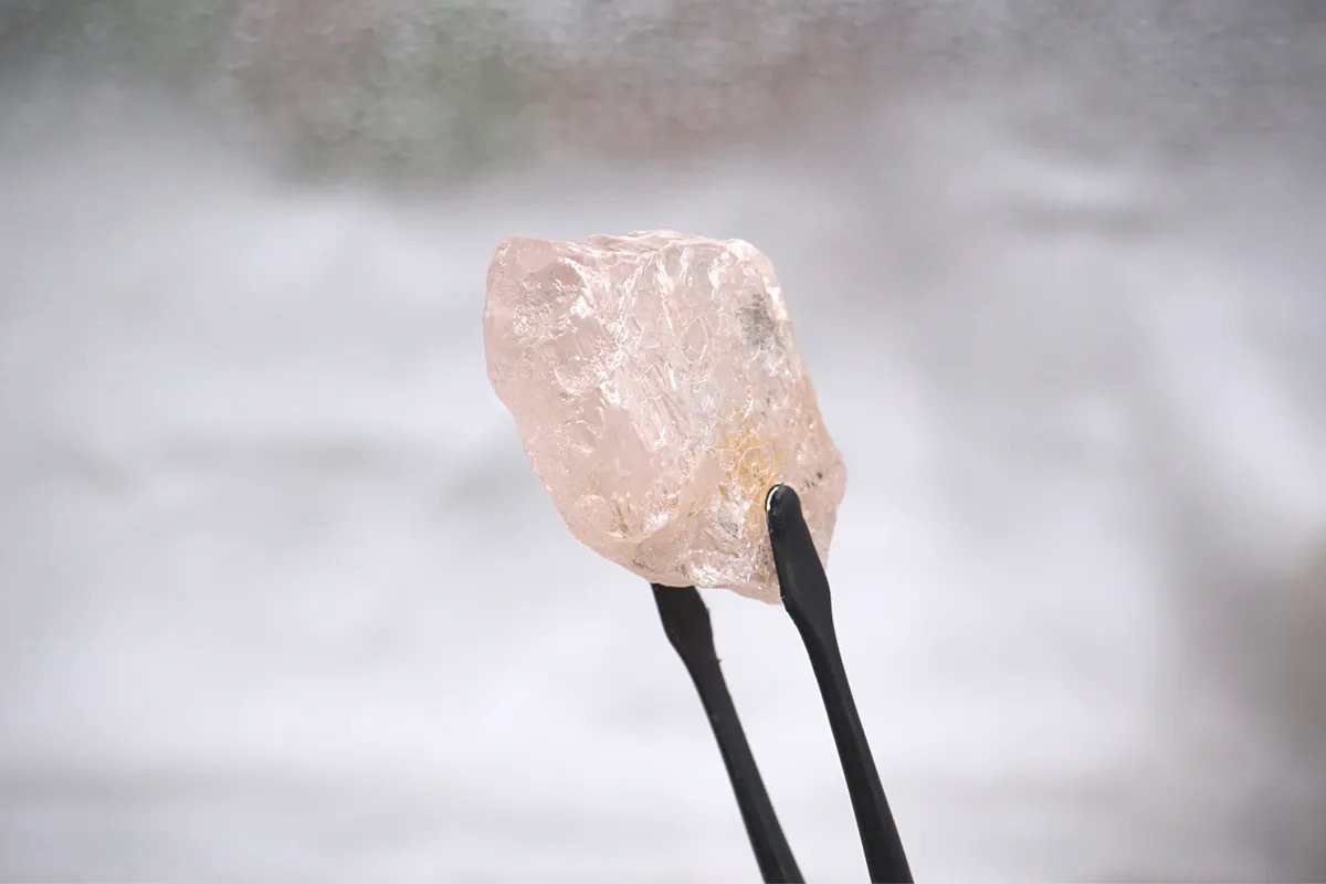 Lulo Rose pink diamond held between a pair of tweezers