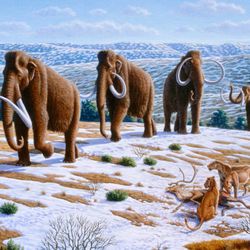 Ice Age megafauna