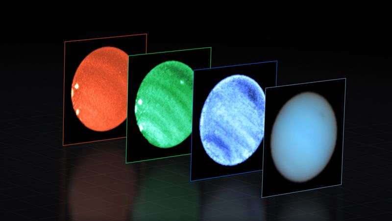 This image shows Neptune observed with the MUSE instrument at ESO’s Very Large Telescope (VLT). At each pixel within Neptune, MUSE splits the incoming light into its constituent colours or wavelengths. This is similar to obtaining images at thousands of different wavelengths all at once, which provides a wealth of valuable information to astronomers.