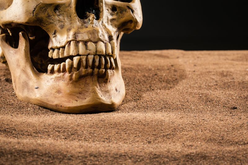 Why do we have crooked teeth when our ancestors didn’t? G. Richard Scott Investigates. 