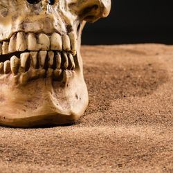 Why do we have crooked teeth when our ancestors didn’t? G. Richard Scott Investigates. 