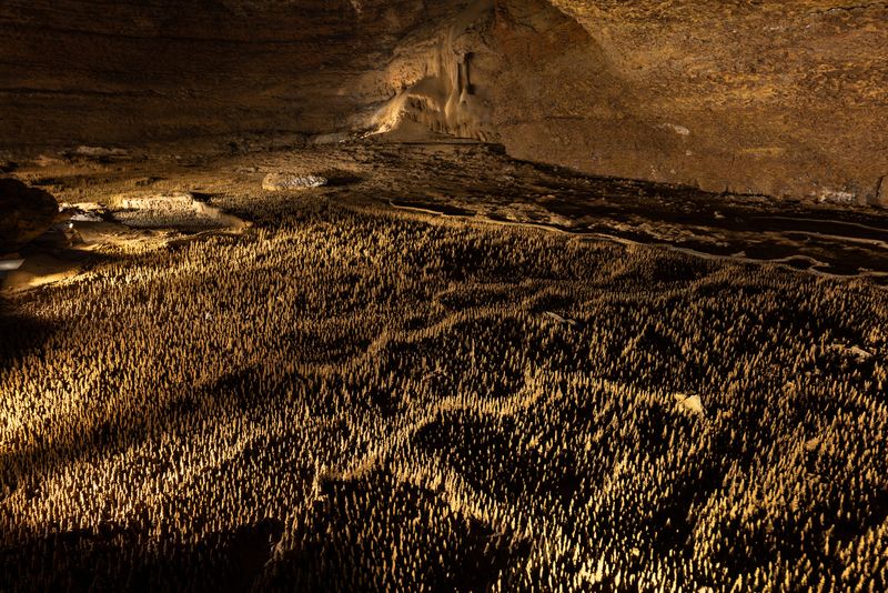 Trabuc Caves 100,000 Soldiers