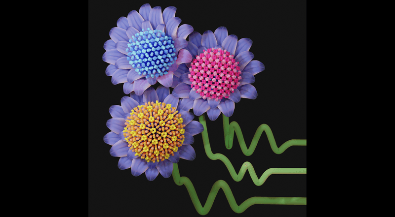 Conceptual image showcasing several interaction potential shapes, represented by stems, that will lead to the self-assembly of new low-coordinated crystal structures, represented by flowers.