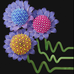 Conceptual image showcasing several interaction potential shapes, represented by stems, that will lead to the self-assembly of new low-coordinated crystal structures, represented by flowers.