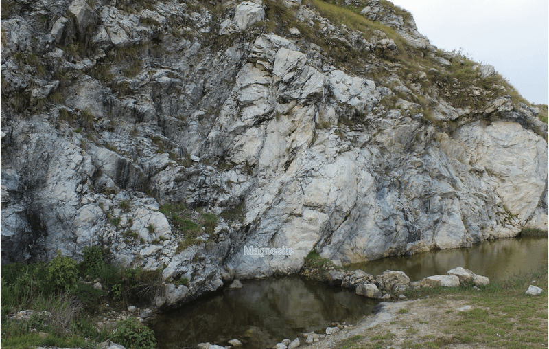 Magnesite near Chandak hills, Kumaon holds water droplets from close to the time the Earth froze over.