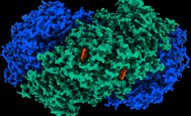 The atomic structure of Huc shows it's far from simple so it is just as well we can get bacteria to make it for us