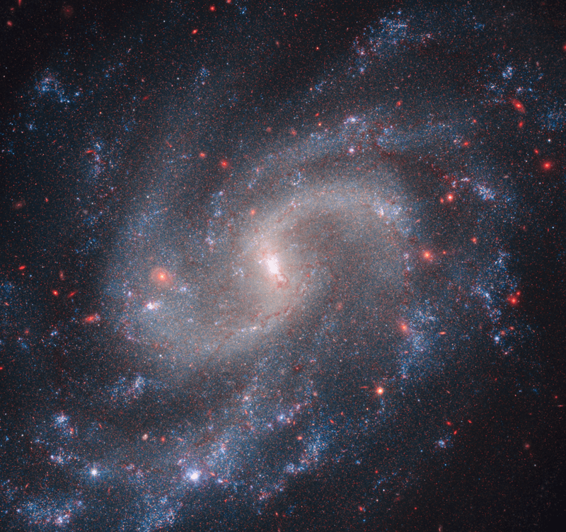 NGC 5584 is one of the galaxies the JWST examined to calibrate the Hubble telescope's measurements of the distance of supernovas, and therefore the rate at which the universe's expansion is accelerating