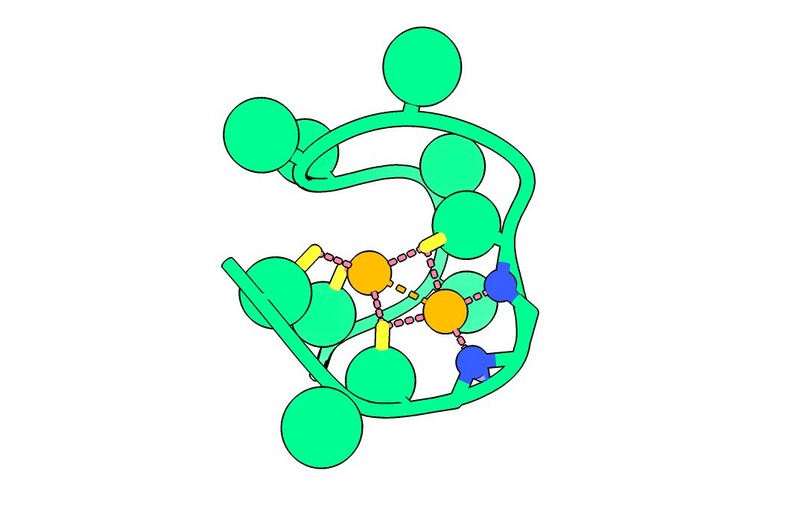 A computer rendering of the Nickelback peptide. Nitrogen atoms (blue) bond two nickel atoms (orange).The catalytic power of the nickel atoms in this form allow one of the most crucial reactions for life to occur, and possibly many more