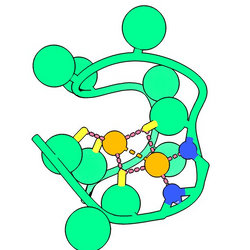 A computer rendering of the Nickelback peptide. Nitrogen atoms (blue) bond two nickel atoms (orange).The catalytic power of the nickel atoms in this form allow one of the most crucial reactions for life to occur, and possibly many more