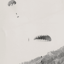 Plane drops two parachutes attached to beaver-containing boxes in Idaho