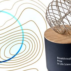 The breakthoguh prize with a shematic view of a dna molecule and of a photon ring