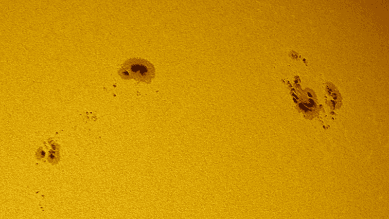 Sunspots on the Sun.