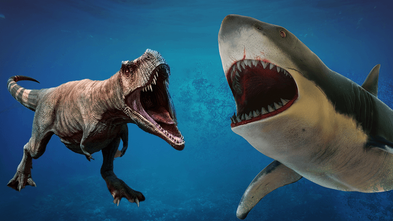 T. rex vs megalodon: One lived 66 million years ago on land and the other died out 3 million years ago and lived in the sea, but who cares! 