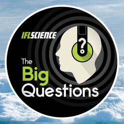 The Big Questions Logo on a white Artic background with a polar bear on the right side. 