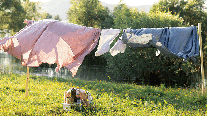 Washing drying in the sun over a grass lawn with a river behind and a jar of red fruits in the foreground