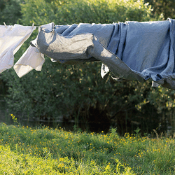 Washing drying in the sun over a grass lawn with a river behind and a jar of red fruits in the foreground